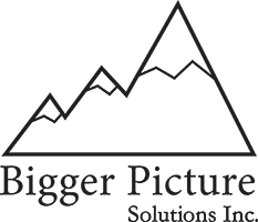 Bigger Picture Solutions logo